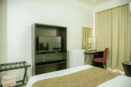 Phoenicia - 11