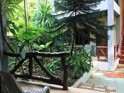 Big Fish Resort Koh Tao - 22