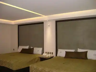 Holiday Inn Express Mexico Basilica by IHG - 2