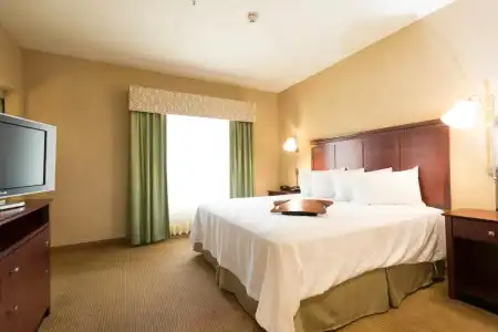 Hampton Inn & Suites Abilene I-20 - 49