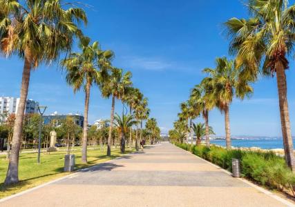 Limassol Old Town Mansion - 25