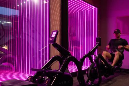 BaseCamp Student - 30