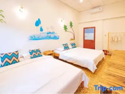 Hue Lotus Homestay - 101
