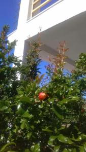 Guest House Solive - 1