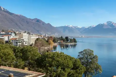 Rondinella Locarno - 31