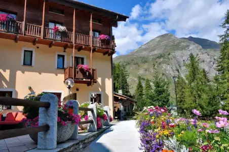 Boton d'Or & Wellness - 15
