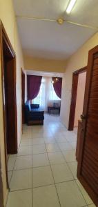 Palmen Apart - 120