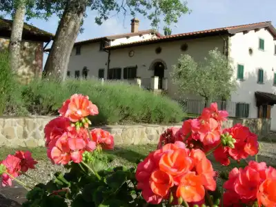 Fattoria di Belvedere - 0