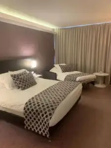 Best Western Plus Metz Technopole - 91