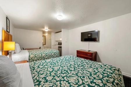 Extended Stay Studios - 30