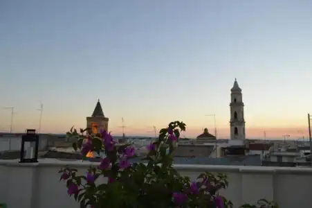 Borgomurgia - 5