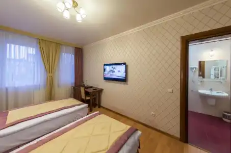 Bystrytsya Lux - 10