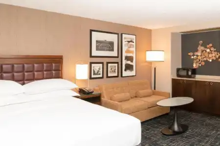 Sheraton Ann Arbor - 91
