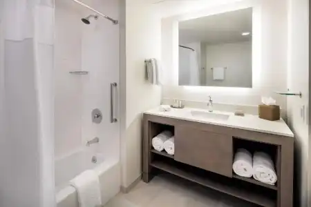 Residence Inn by Marriott San Diego Downtown/Bayfront - 65