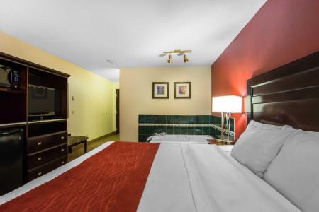 Comfort Inn & Suites Airport South - 39