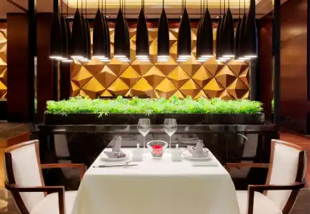 Radisson Blu Plaza Chongqing - 14