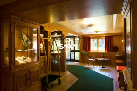 Les Balcons du Savoy - 30