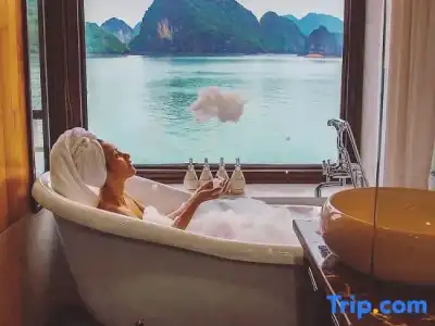 V'Spirit Cruises - 67