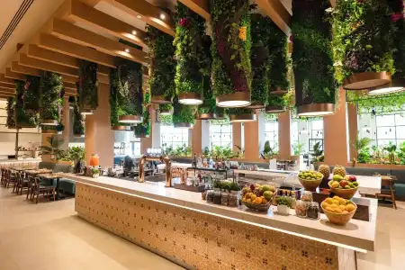 Hard Rock & Casino Punta Cana - All inclusive - 12