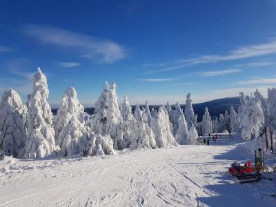 Miriquidi All Inklusive - 13