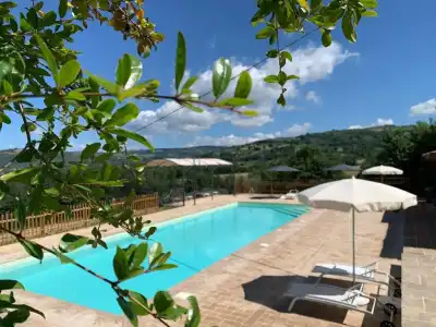 Agriturismo la Palazzetta di Assisi - 21