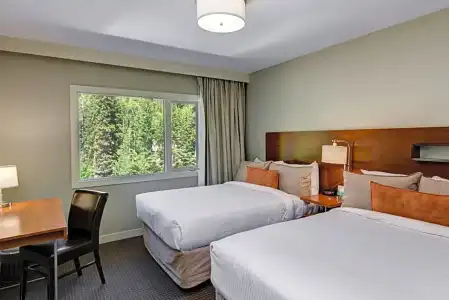 The Juniper - 104