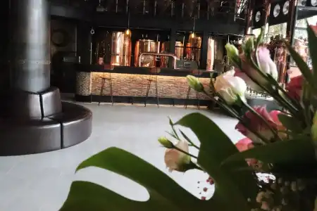 CHECK inn Phnom Penh BKK 1 - 28