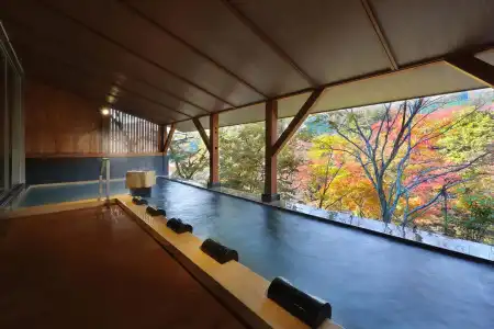 Nanaeyae - 5