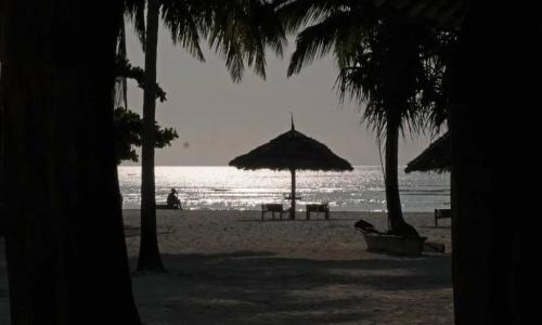Pongwe Bay Resort - 66