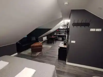 Vintage Apartment - 14