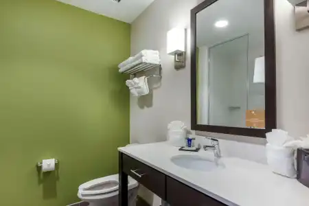 Sleep Inn & Suites Tampa South - 31