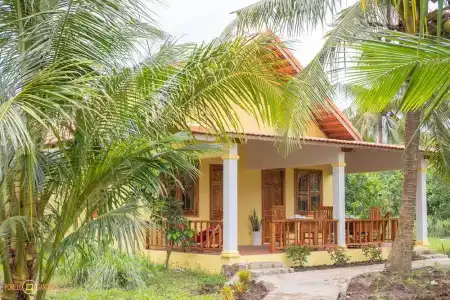 Phu Quoc Pomelo Garden - 45
