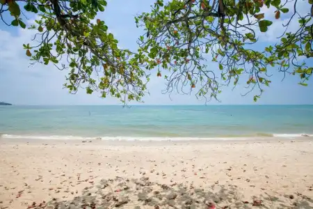 Lamai Resort - 73