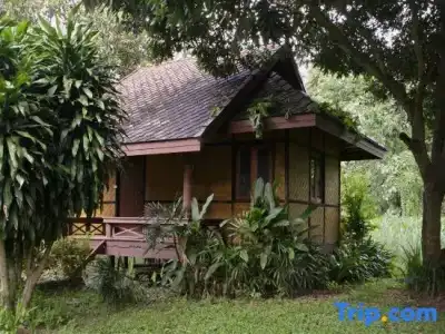 Baan Krating Pai Resort - 89