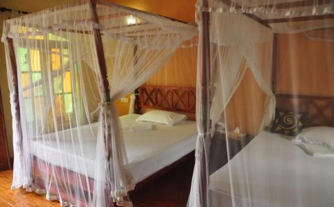 Green Villa - 6