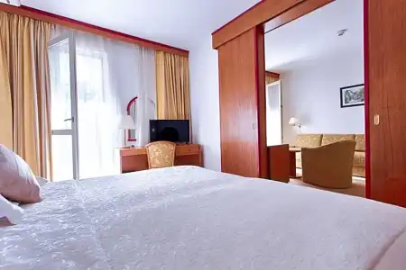 Horizont - 113