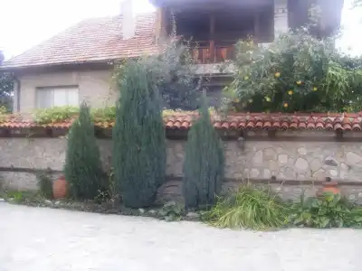 Todeva House - 17