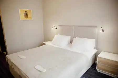 Amina - 3