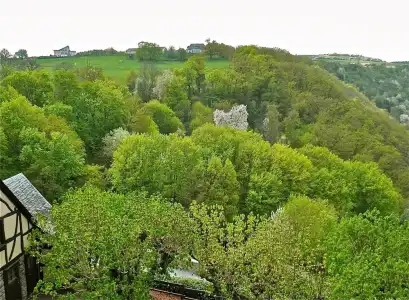 BurgAuf Schönburg - 230