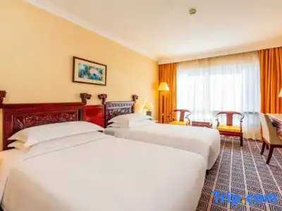 Grand Skylight Royal - 49