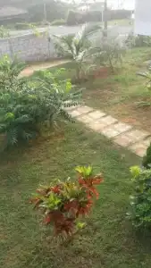 Masha Beach Inn - 7
