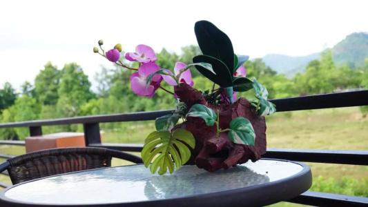 The Boat House - 18