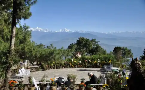 The Fort Resort - 17