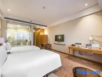 Holiday Inn Xi'an Big Goose Pagoda by IHG - 99