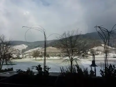 Hotel-Gasthaus Goldener Engel - 16