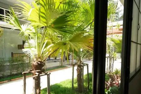 iRest Ao Nang Seafront - 39