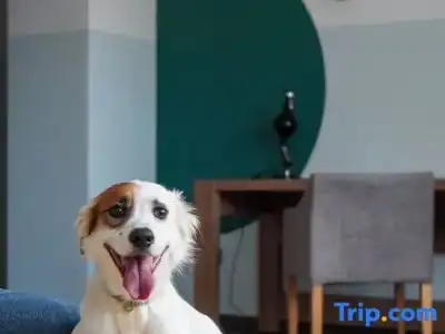 WorkNomads LAB-Coliving & Coworking - 40