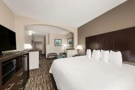 Comfort Suites Plano East - Richardson - 55
