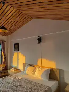 Catba Oasis Bungalows - 40