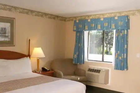 Flagship Inn and Suites - 22